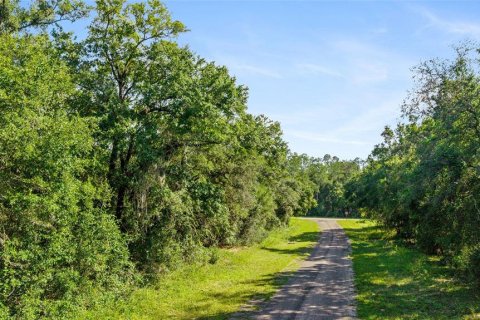 Land in Dunnellon, Florida № 2166753 - photo 4