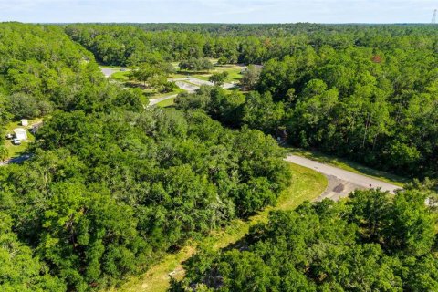 Land in Dunnellon, Florida № 2166753 - photo 3