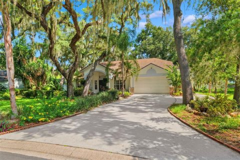Villa ou maison à Valrico, Floride 3 chambres, 283.91 m2 № 2258677