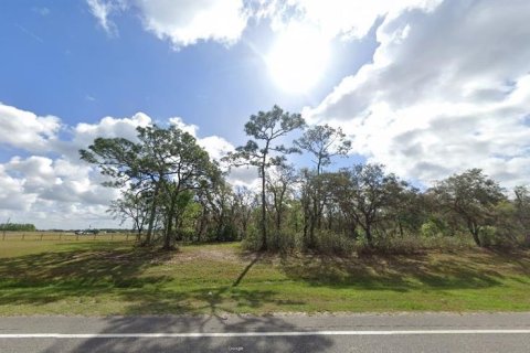 Terreno en venta en Polk City, Florida № 2164080 - foto 3