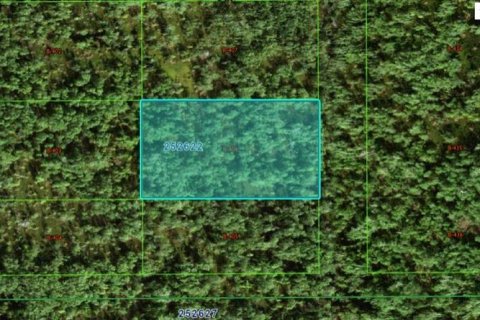 Terreno en Polk City, Florida № 2164080