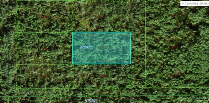 Terreno en Polk City, Florida № 2164080