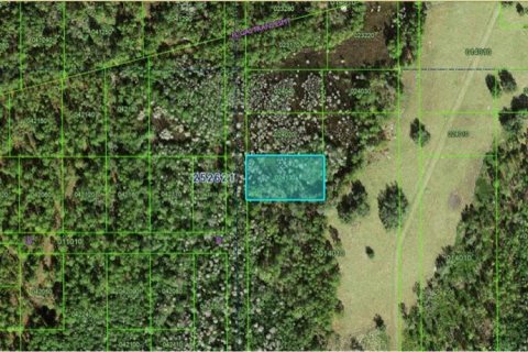 Terreno en venta en Polk City, Florida № 2164080 - foto 2