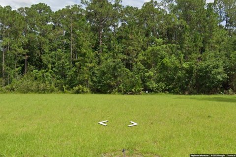 Terreno en venta en Saint Cloud, Florida № 605316 - foto 2