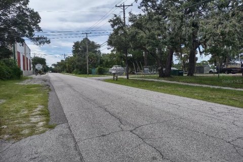 Terreno en venta en Tarpon Springs, Florida № 1582397 - foto 13