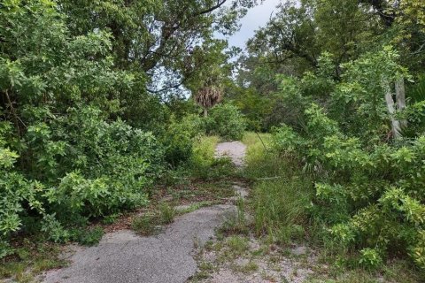 Terreno en venta en Tarpon Springs, Florida № 1582397 - foto 9