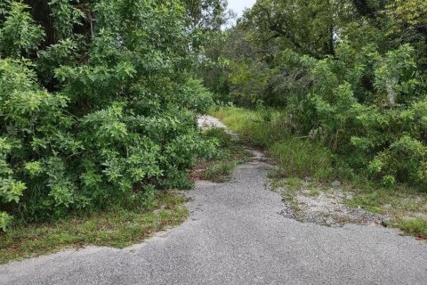 Terreno en venta en Tarpon Springs, Florida № 1582397 - foto 16