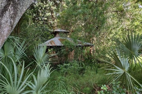 Terreno en venta en Tarpon Springs, Florida № 1582397 - foto 24