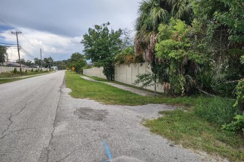 Terreno en venta en Tarpon Springs, Florida № 1582397 - foto 15