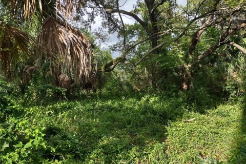 Terreno en venta en Tarpon Springs, Florida № 1582397 - foto 26