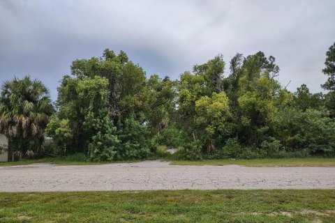 Terreno en venta en Tarpon Springs, Florida № 1582397 - foto 10