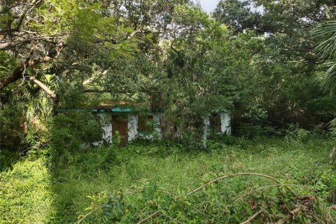 Terreno en venta en Tarpon Springs, Florida № 1582397 - foto 25