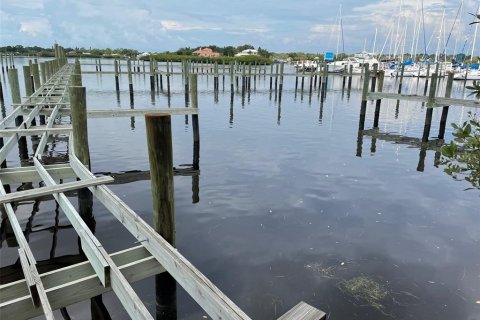 Terreno en venta en Tarpon Springs, Florida № 1582397 - foto 6