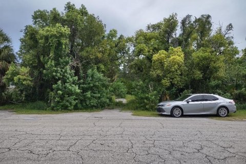 Terreno en venta en Tarpon Springs, Florida № 1582397 - foto 11