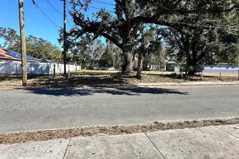 Apartamento en alquiler en Saint Petersburg, Florida, 3 dormitorios, 271.09 m2 № 2096061 - foto 6
