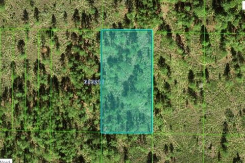 Terreno en Frostproof, Florida № 2164028