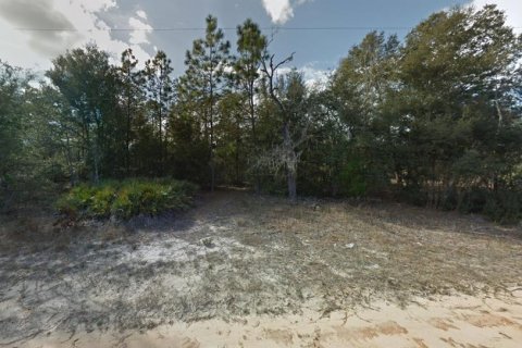 Land in Interlachen, Florida № 2162422 - photo 3