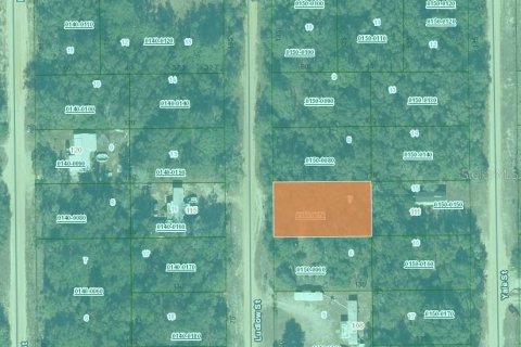 Land in Interlachen, Florida № 2162422 - photo 2