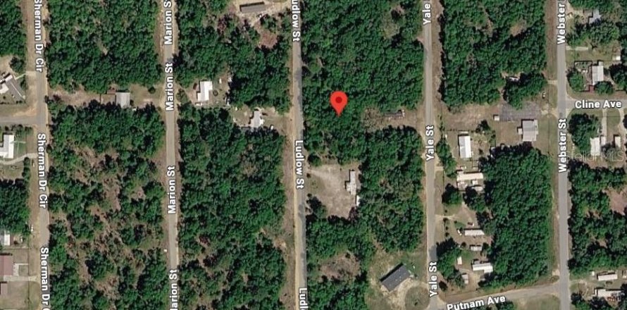 Land in Interlachen, Florida № 2162422
