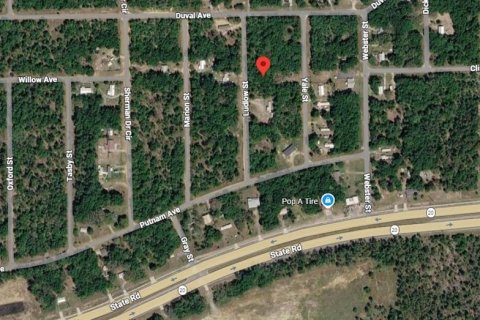 Land in Interlachen, Florida № 2162422 - photo 4