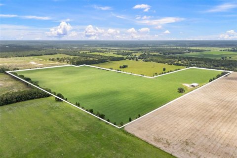 Land in Newberry, Florida № 2130843