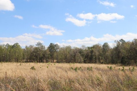 Terrain à vendre à Hawthorne, Floride № 1854155 - photo 22