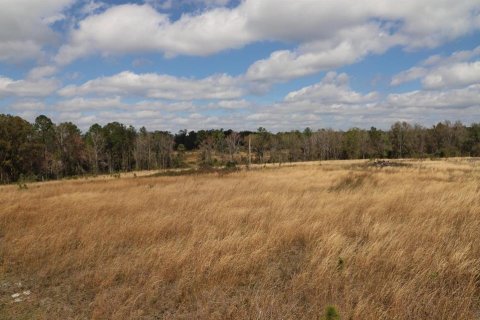 Terrain à vendre à Hawthorne, Floride № 1854155 - photo 11
