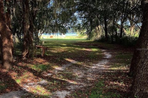 Villa ou maison à vendre à Belleview, Floride: 1 chambre, 70.05 m2 № 2411444 - photo 8