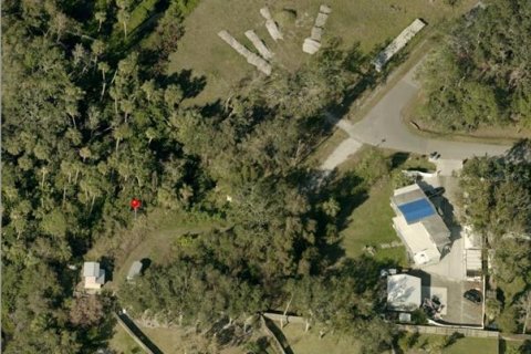 Land in Tampa, Florida № 1674999 - photo 4