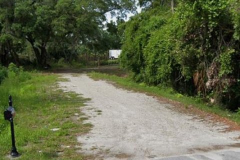 Land in Tampa, Florida № 1674999 - photo 1