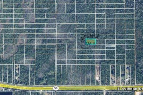 Land in Orlando, Florida № 2163933 - photo 2