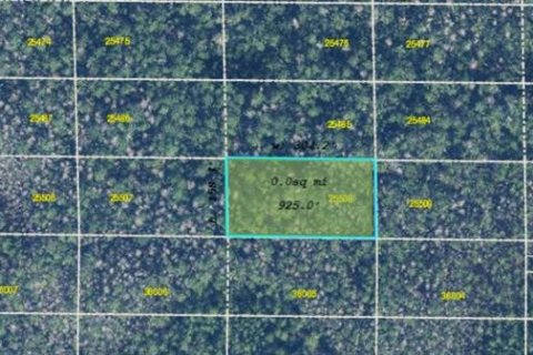 Land in Orlando, Florida № 2163933 - photo 3