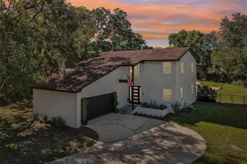 House in Lutz, Florida 3 bedrooms, 181.16 sq.m. № 2424244 - photo 2