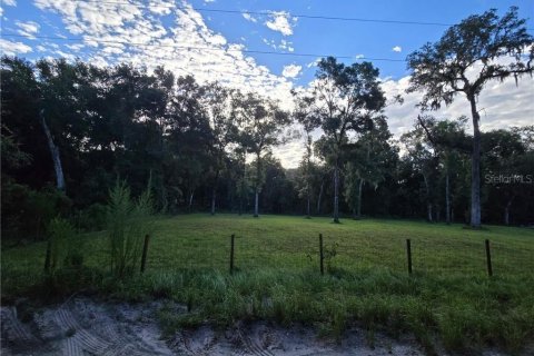 Land in Inverness, Florida № 2161291 - photo 2