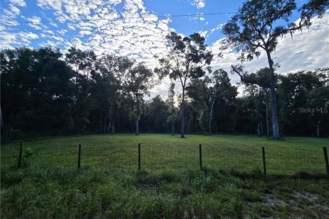 Land in Inverness, Florida № 2161291 - photo 3