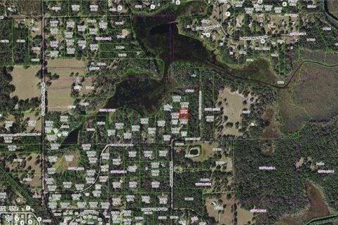 Land in Inverness, Florida № 2161291 - photo 8