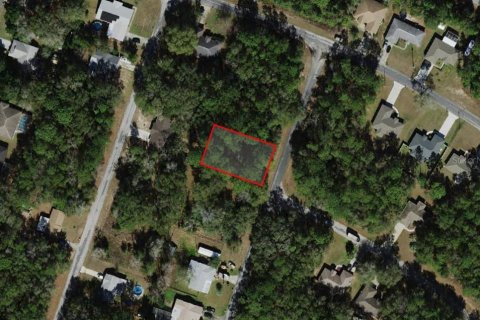 Land in Citrus Springs, Florida № 2159626