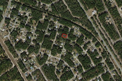 Land in Citrus Springs, Florida № 2159626 - photo 3