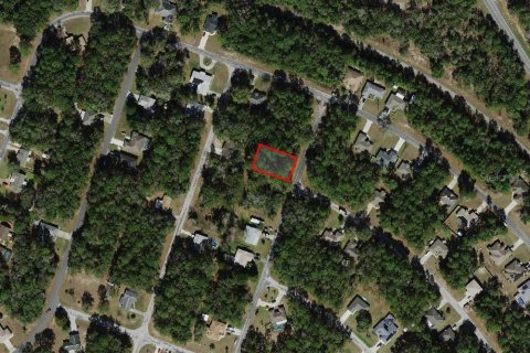 Land in Citrus Springs, Florida № 2159626 - photo 2