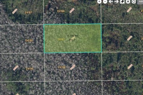 Land in Orlando, Florida № 2163683