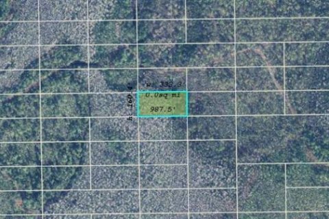 Land in Orlando, Florida № 2163683 - photo 2