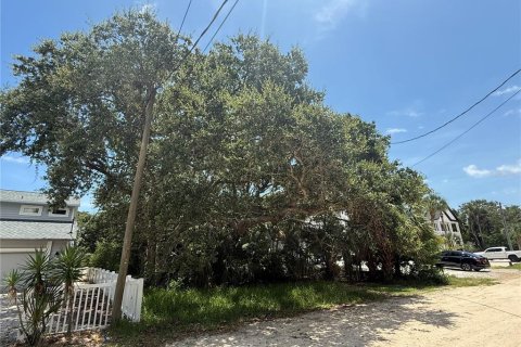Land in Flagler Beach, Florida № 1824496 - photo 6