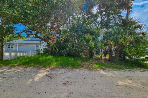 Land in Flagler Beach, Florida № 1824496 - photo 16