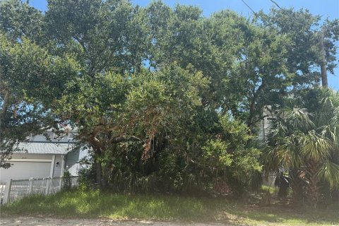 Land in Flagler Beach, Florida № 1824496 - photo 4