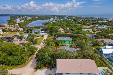 Land in Flagler Beach, Florida № 1824496 - photo 7