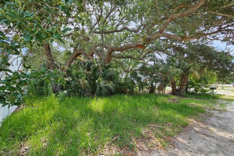 Land in Flagler Beach, Florida № 1824496 - photo 15