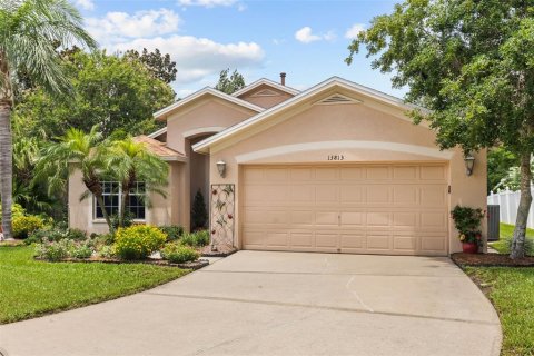 Casa en Riverview, Florida 3 dormitorios, 162.11 m2 № 2209785