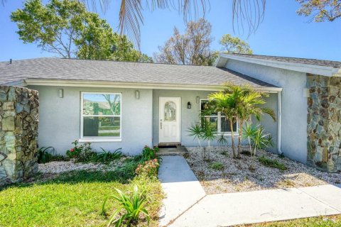 House in Palm Harbor, Florida 4 bedrooms, 179.49 sq.m. № 1566390 - photo 2