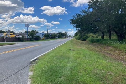 Immobilier commercial à vendre à Leesburg, Floride: 159.79 m2 № 2345402 - photo 24