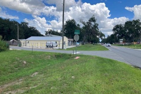 Immobilier commercial à vendre à Leesburg, Floride: 159.79 m2 № 2345402 - photo 2